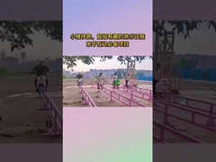 Scenic Area Nicht-betriebene Vergnügungsgeräte, Internet-Berühmtheit Little Pig Run Vergnügungspark Childr